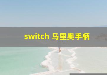 switch 马里奥手柄